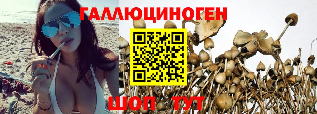 Псилоцибиновые грибы мицелий  Галлюциногенные грибы Psilocybine cubensis  Орёл  Вход с VPN 